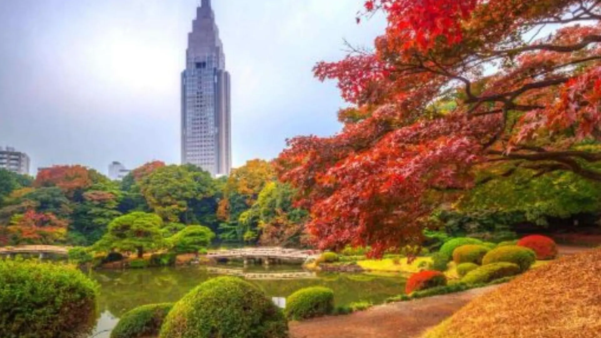 Shinjuku/Shin-Okubo Sta 2Min Walk/Kabukicho 5 Min Apartment Tokyo Japan